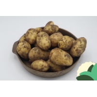 59+PRIMEUR+AARDAPPEL+EIGEN+TEELT.jpg