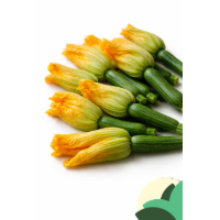 ChatGPT+Image+20+apr+2026%2C+09_27_27+(1).png