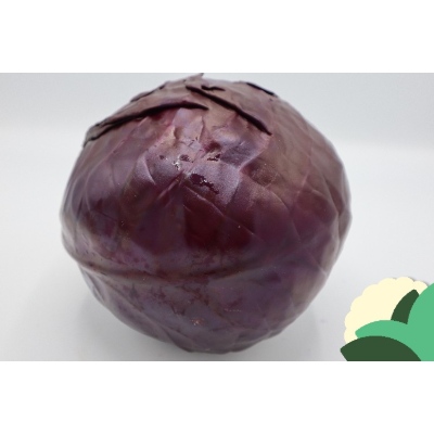 69.jpg